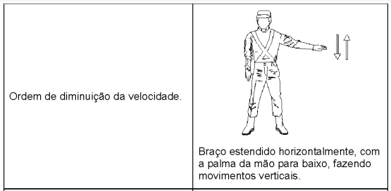 Ilustração da Ficha