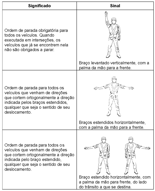 Ilustração da Ficha
